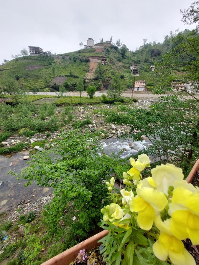 Hanetul Mabeyn Rize Zewnętrze zdjęcie