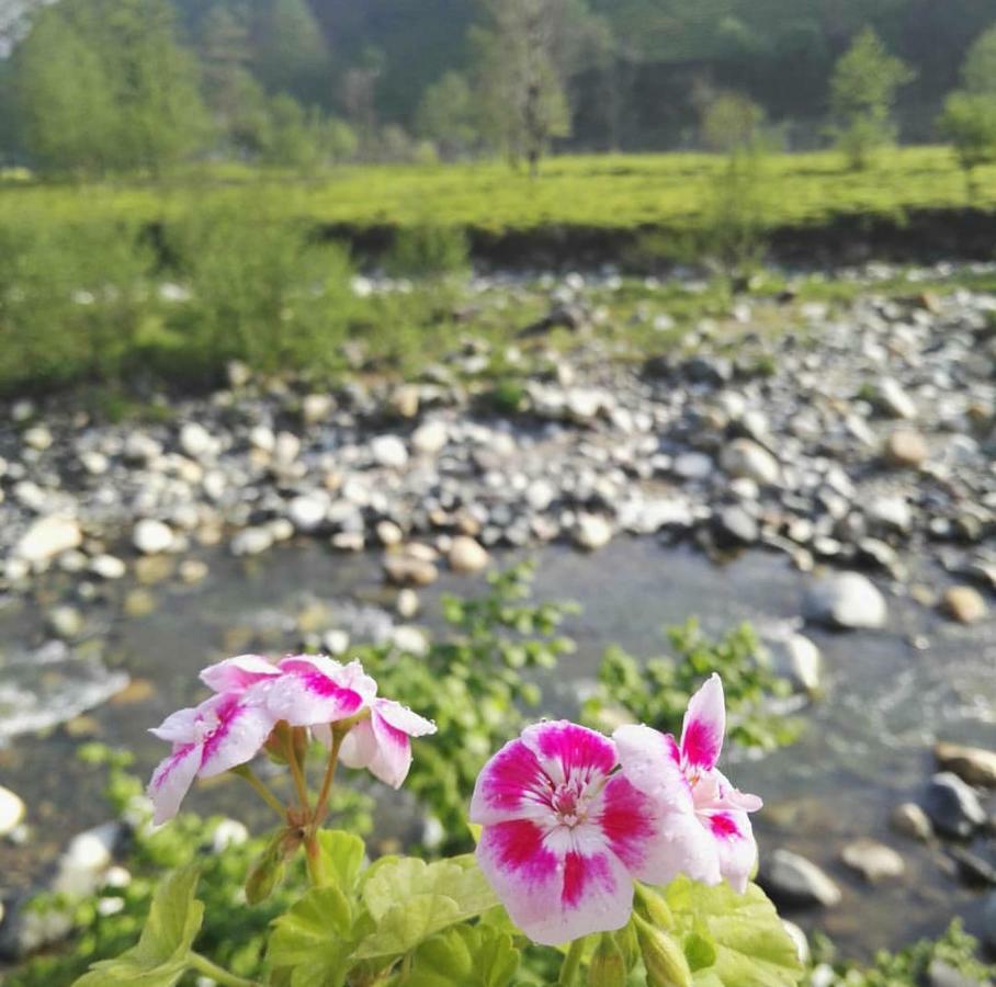 Hanetul Mabeyn Rize Zewnętrze zdjęcie